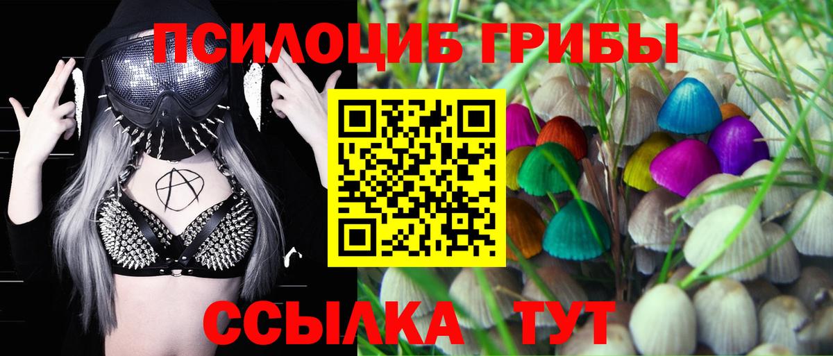 Галлюциногенные грибы MAGIC MUSHROOMS Слободской