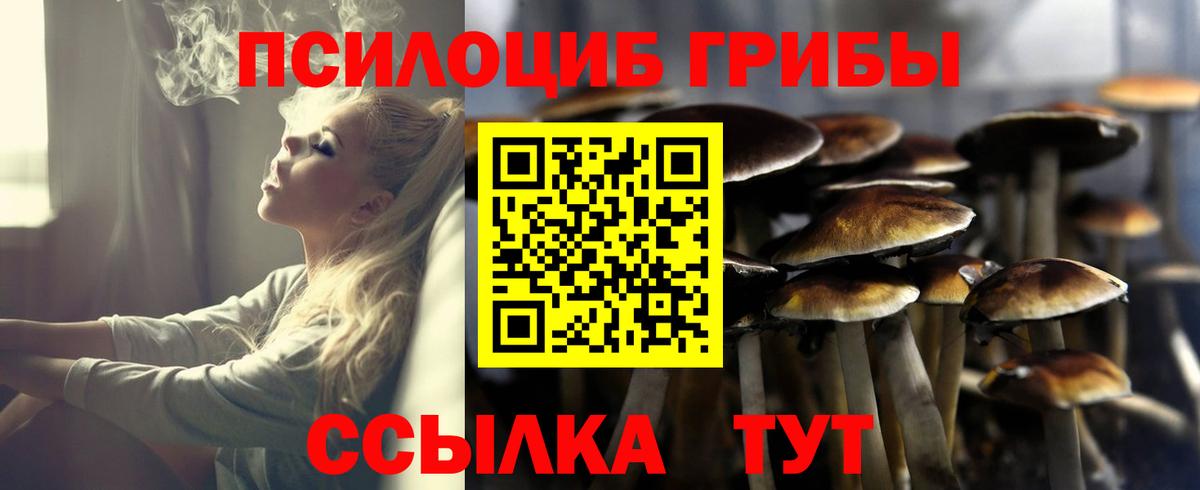 Слободской  Псилоцибиновые грибы Magic Shrooms  Вход с VPN 